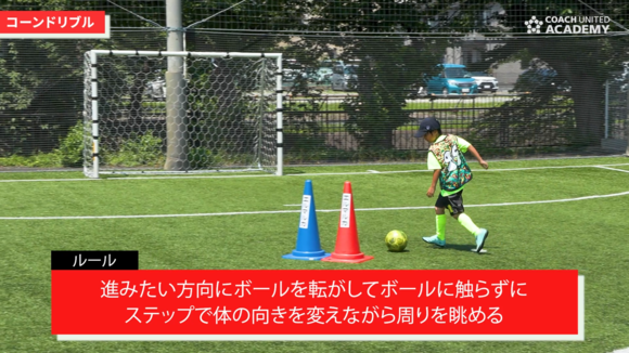 yamamoto_006.png