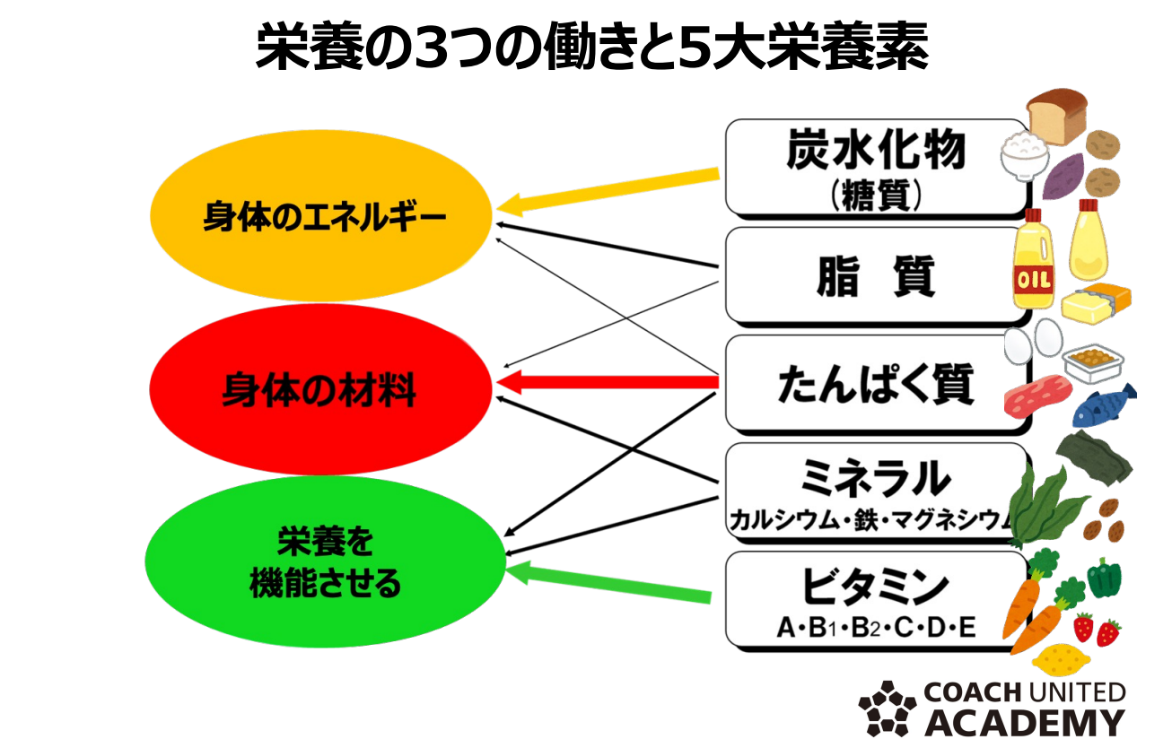 中学3年生身長を伸ばすには: 中3身長の伸びが悪い まだ伸びるか – JTZXYB
